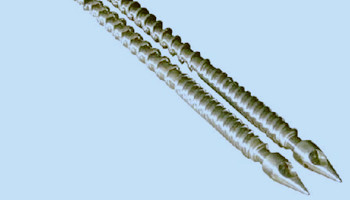 機筒螺桿塑化時需注意哪幾點?